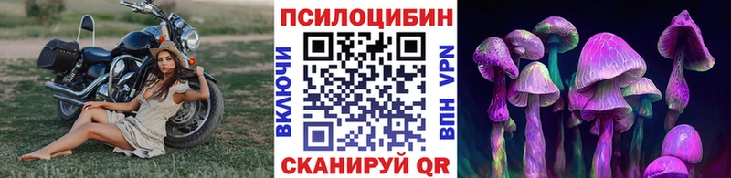 мега зеркало  Балей  Галлюциногенные грибы MAGIC MUSHROOMS 