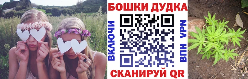 Бошки Шишки VHQ маркетплейс как зайти Балей